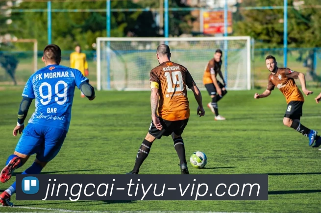 体彩竞彩平台生态图